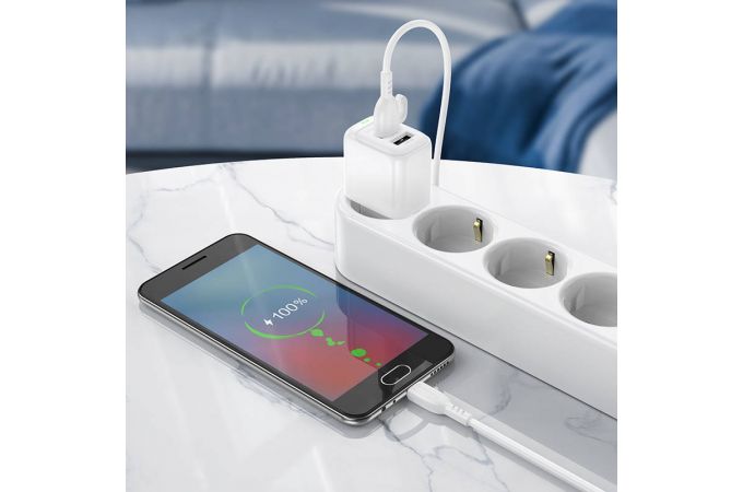 Сетевое зарядное устройство 2USB + кабель MicroUSB BOROFONE BAS41A Potential (белый)