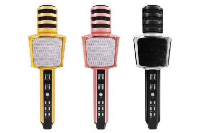 Караоке микрофон SDRD SD-17 беспроводной (Bluetooth, динамики, USB)