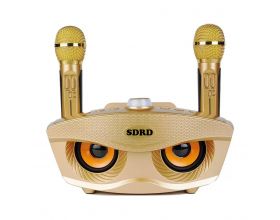 Караоке система SDRD SD-306 Золото