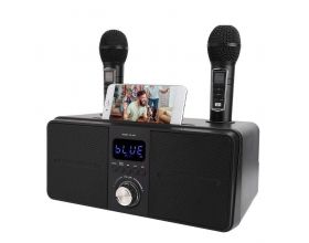 Караоке система SDRD SD-309 Черная