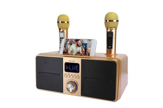 Караоке система SDRD SD-309 Золото