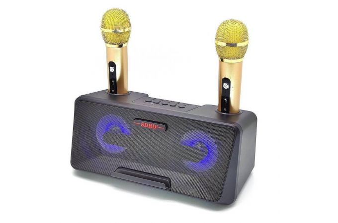 Караоке система SDRD SD-301 Черная