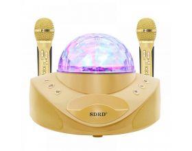 Караоке система SDRD SD-308 Золото