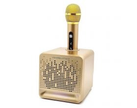 Караоке система Орбита OT-ERM08 Золото