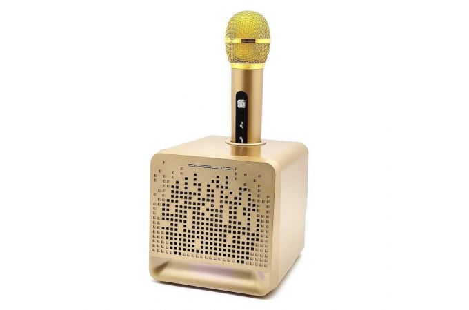 Караоке система Орбита OT-ERM08 Золото