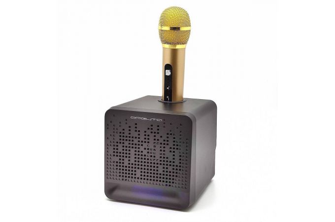 Караоке система Орбита OT-ERM08 Черная