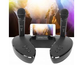 Караоке система Орбита OT-ERM09 Черная