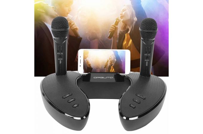 Караоке система Орбита OT-ERM09 Черная