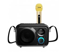 Караоке система Орбита OT-ERM07 Черная