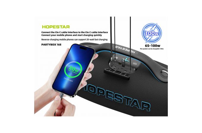 Портативная беспроводная колонка HOPESTAR PARTY BOX 168 (серый) 400W