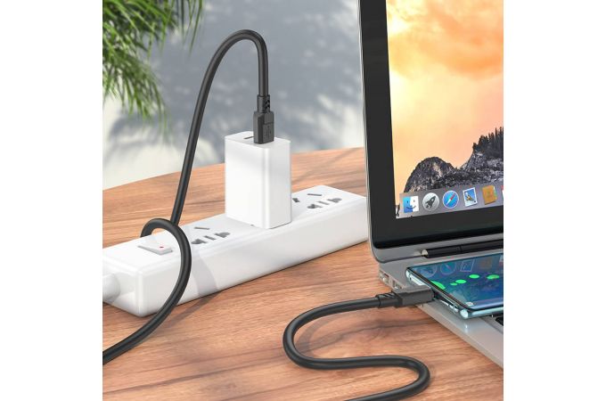 Кабель USB - USB Type-C BOROFONE BX81, 2,4A (черный) 1м