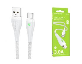 Кабель USB - USB Type-C BOROFONE BX100, (черный) 1м