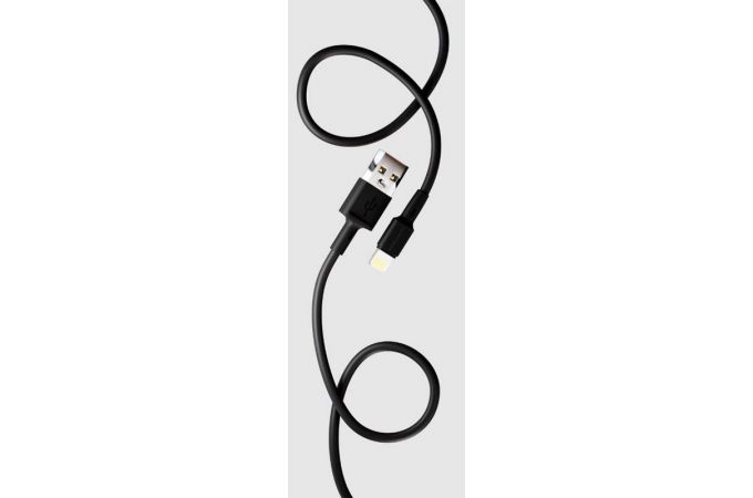 Сетевое зарядное устройство 2USB + кабель Lightning More choice NC11i 2.4A (Black)