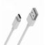 Кабель USB - USB Type-C BOROFONE BX3, 3A (белый) 1м (в колбе)