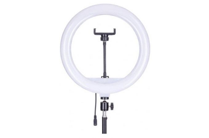 Кольцевая лампа напольная (30 см) для фото и видеосъемки QX300/XP305  (черный) с пультом уп (без т