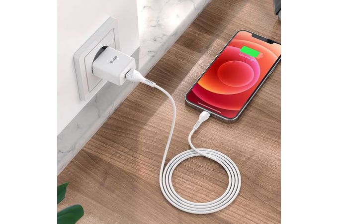 Сетевое зарядное устройство USB + кабель Lightning HOCO N9 2100mAh (белый)