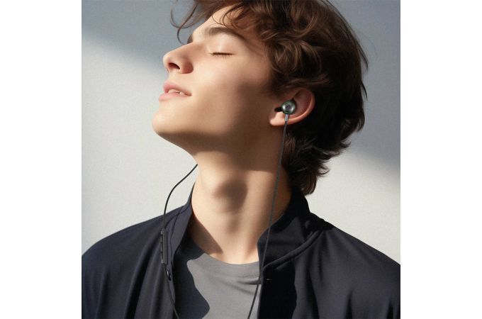 Наушники проводные ACEFAST L4 3.5mm in-ear wired earphones with mic(Черный)