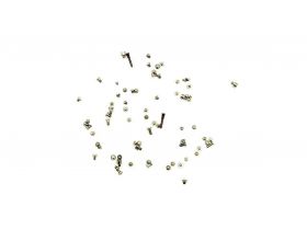 Комплект винтов (внутренних) для iPhone XS Max