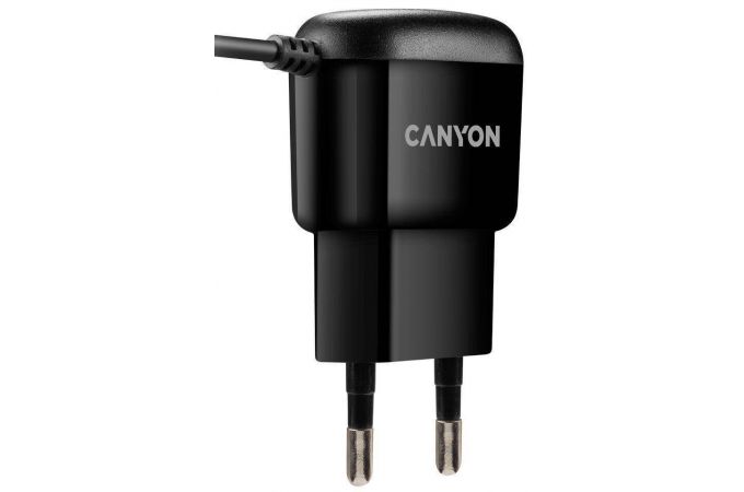 Сетевое зарядное устройство USB + кабель MicroUSB Canyon CHA-044 (черный)