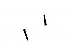 Комплект винтов для iPhone XR (2-а нижних) (черный)