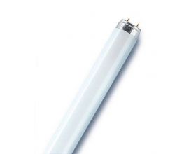 Лампа люминесцентная L 36W/830 LUMILUX 36Вт T8 3000К G13 смол. OSRAM 4058075692954