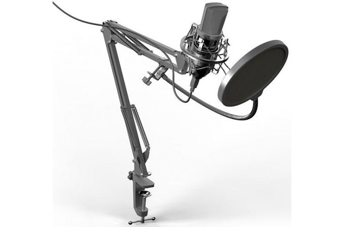 Микрофон для ПК Ritmix rdm-169 (серый)