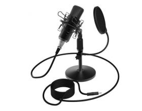 Микрофон для ПК Ritmix rdm-175 (черный)