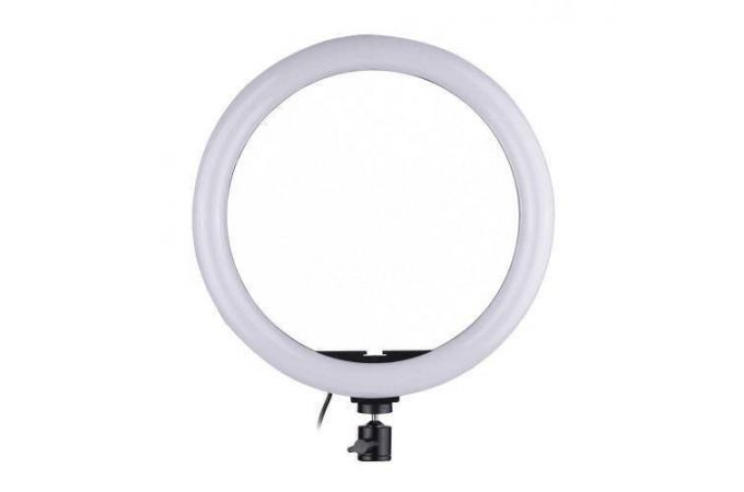 Кольцевая лампа напольная QX-260 (26 см) для фото и видеосъемки вариант 1 (без треноги)