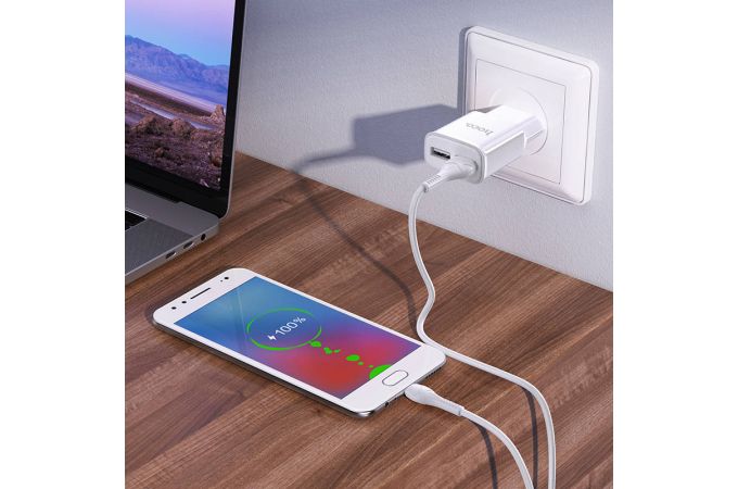 Сетевое зарядное устройство 2USB + кабель MicroUSB HOCO C88A 2100mAh (черный)