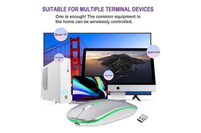 Мышь беспроводная Орбита OT-PCM66 Серая RGB (USB/Bluetooth,аккум) (серый)