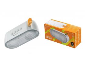 Портативная беспроводная колонка BOROFONE BR8 Broad sound sports wireless speaker (серый)
