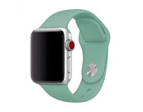 Ремешок силиконовый для Apple Watch 42-44 мм цвет бирюзово-зеленый (размер ML)