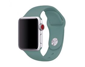 Ремешок силиконовый для Apple Watch 38-40 мм цвет зеленая сосна размер ML