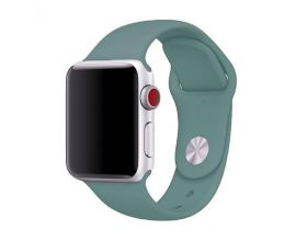 Ремешок силиконовый для Apple Watch 42-44 мм цвет зеленая сосна