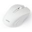Мышь беспроводная Smartbuy ONE 352 (SBM-352AG-W) (белый)