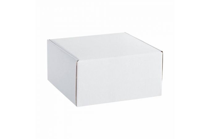 Микрофон беспроводной Weisre WM-308