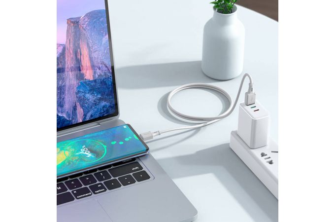 Кабель USB - USB Type-C HOCO X101, 2,4A (серый) 1м