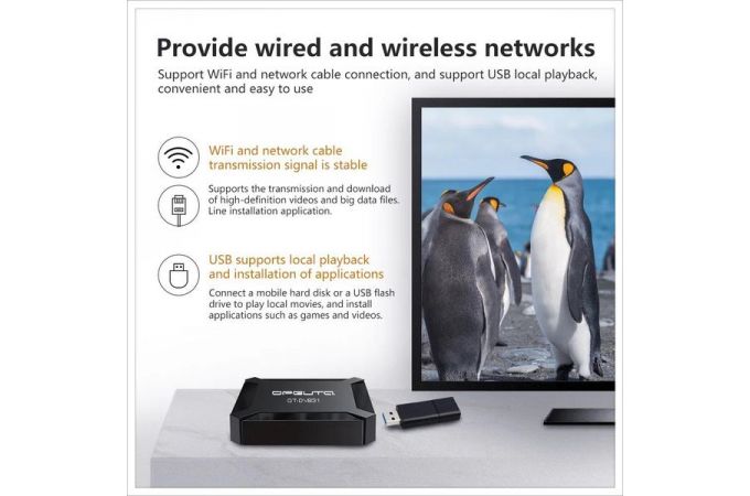 Медиа плеер Орбита OT-DVB31 (2) (Allwinner H313, Android10,0, 2Гб, Flash 16ГБ, Wi-Fi)
