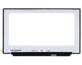 Матрица для ноутбука 17.3 40pin Slim FullHD (1920x1080) LED IPS без ушей матовая (B173HAN04.7)