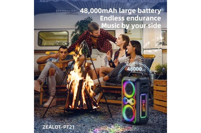 Активная напольная акустика ZEALOT-PT21 (черный)