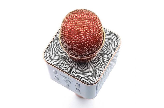 Караоке микрофон Орбита OT-ERM04 (Bluetooth, динамики, USB) (розовый)