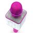 Караоке микрофон Орбита OT-ERM04 (Фиолетовый, Bluetooth, динамики, USB)