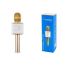 Караоке микрофон Орбита OT-ERM05 (Bluetooth, динамики, USB) (золотистый)