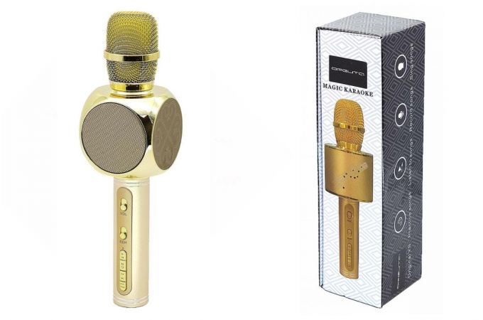 Караоке микрофон Орбита OT-ERM06 (Bluetooth, динамики, USB)