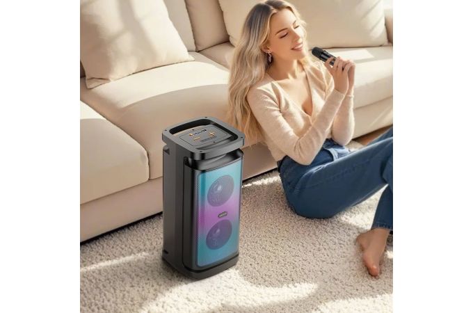 Портативная беспроводная колонка BOROFONE BP25 Vida BT с микрофоном (черный)