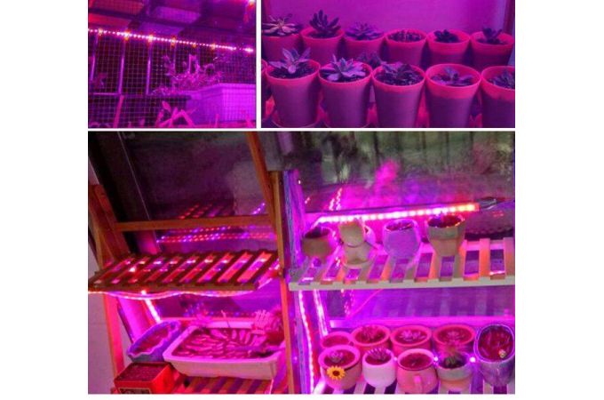 Фито-лента для растений Огонек OG-LDL37 Розовая USB (5м, IP65)