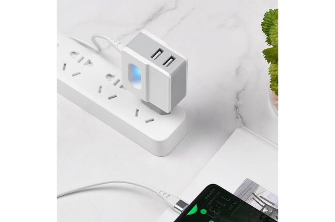 Сетевое зарядное устройство 2USB + кабель Type-C HOCO C75 Imperious (белый)
