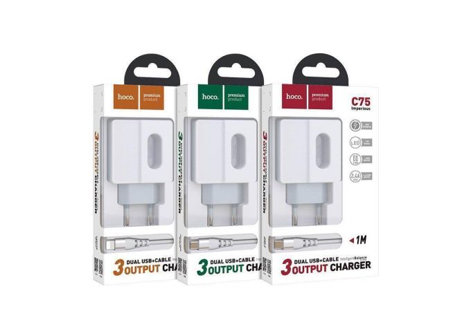 Сетевое зарядное устройство 2USB + кабель Type-C HOCO C75 Imperious (белый)