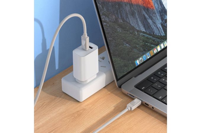 Кабель USB Type-C - USB Type-C BOROFONE BX109, PD60W (серый) 1м