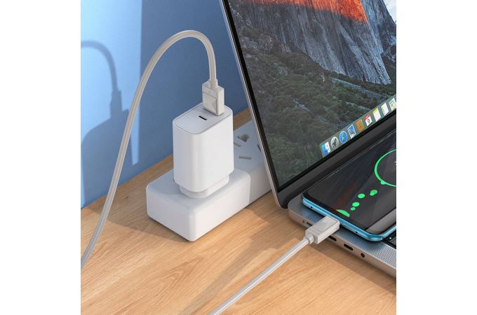 Кабель USB - USB Type-C BOROFONE BX109, (белый) 1м